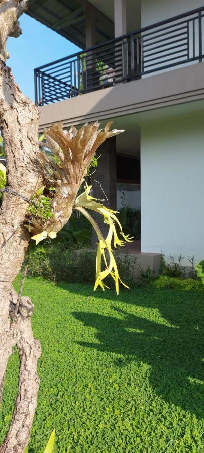 Indraprastha Cottage Ubud Bagian luar foto